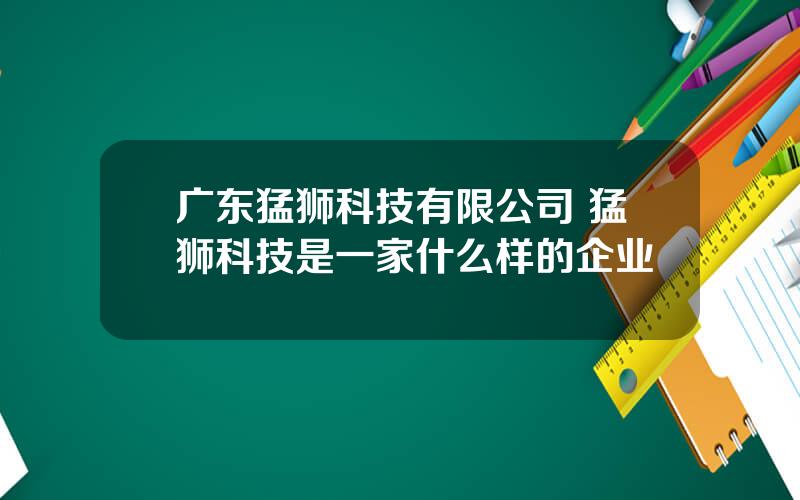 广东猛狮科技有限公司 猛狮科技是一家什么样的企业